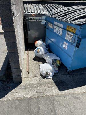 Trash left on the ground in dumpster area. Residents complain of having rats and cockroaches in their apartments.