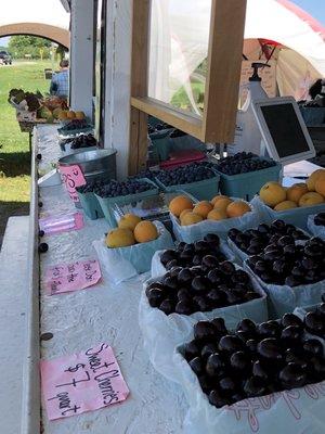 Best fruit stand in Northern Michigan. Cherries, apricots, blueberries and more