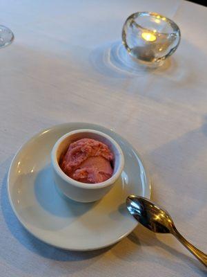 Pre entree sorbet