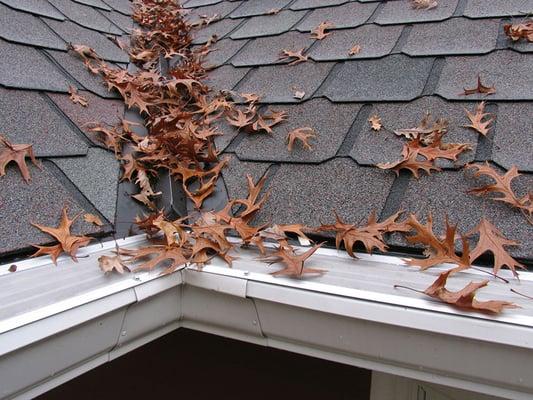 Springrock Gutters