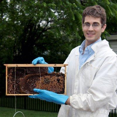 Mark Vanderwerp, Rose Manager of Education and Training, removes a bee hive to be relocated.