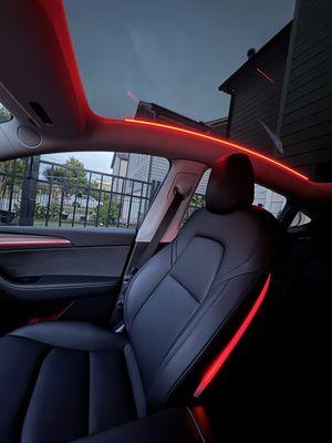 Tesla interior lighting RGB app controlled