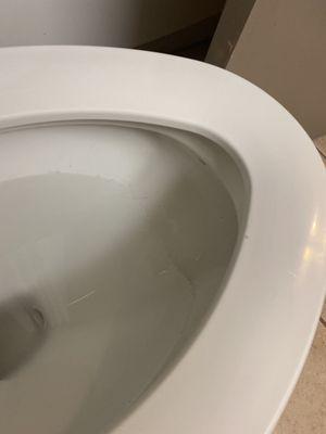 Ring around the toilet, did it get cleaned ?