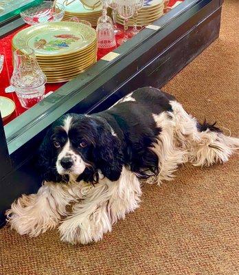 17 years old and still guarding the store