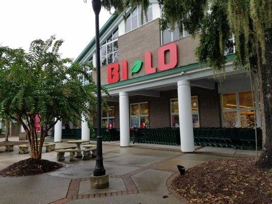 View of Front Entrance (or what can be seen of it) of Bi-Lo.