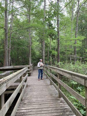 Slough Creek Trail.Flat with some roots so you can mostly ride your bike.Lots of little bridges with this one being one of the best.