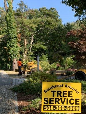 Stump grinding