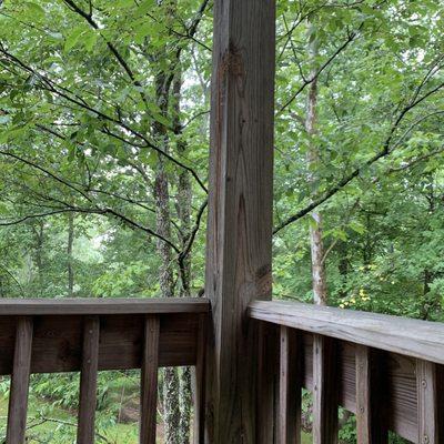 Beautiful view from the covered patio.