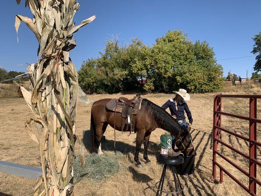 Pony rides