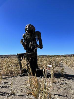 Guard of the corn maze!