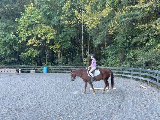 Horse: timber Instructor: Kerry