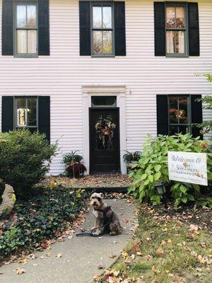 The Sycamore Farmhouse and home of the coffee shop.