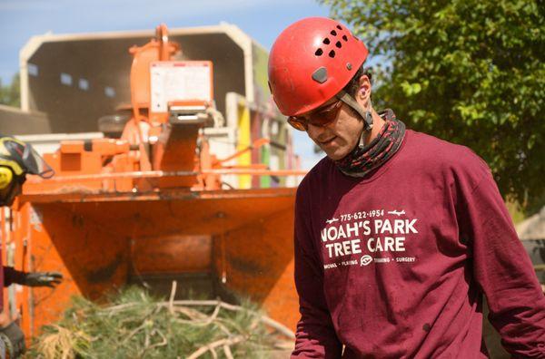 Noah's Park Tree Care team hard at work. Our certified arborists perform tree services to ISA safety and efficiency standards.