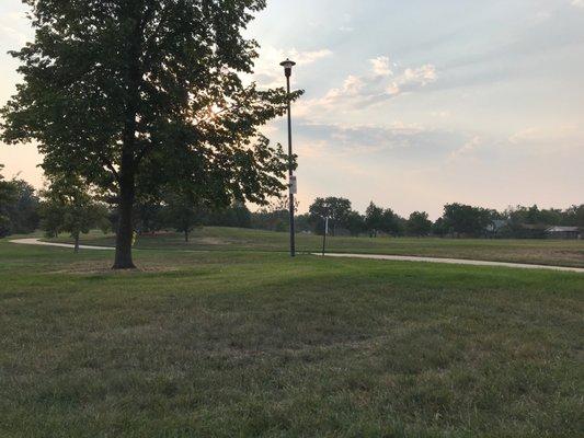 Lots of open grass and some trees for shade.