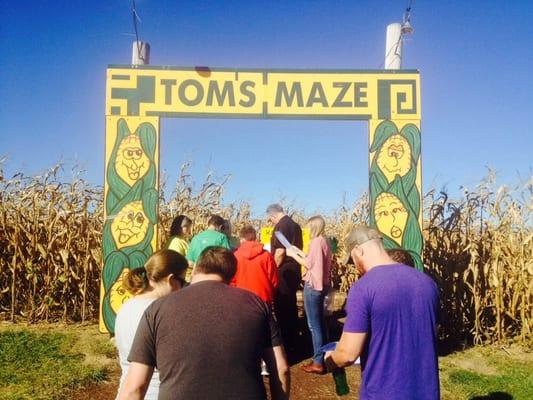 Tom's Maze entrance