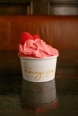 Organic Raspberry Sorbetto