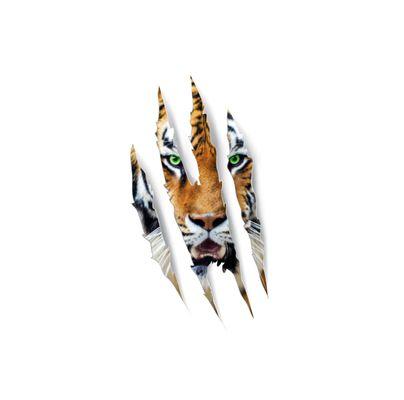 BE THE ROAR not the echo TM. This is a mashup of foreground art of a four claw slashes, revealing a Bengal Tiger, with green eyes.