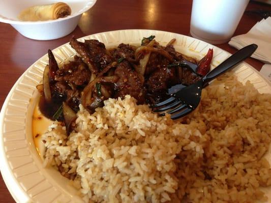 Mongolian Beef...really spicy and kind of oily.