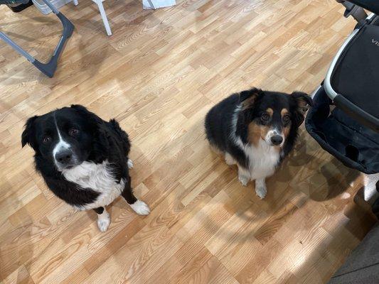 Nana and Oliver and a clean floor!