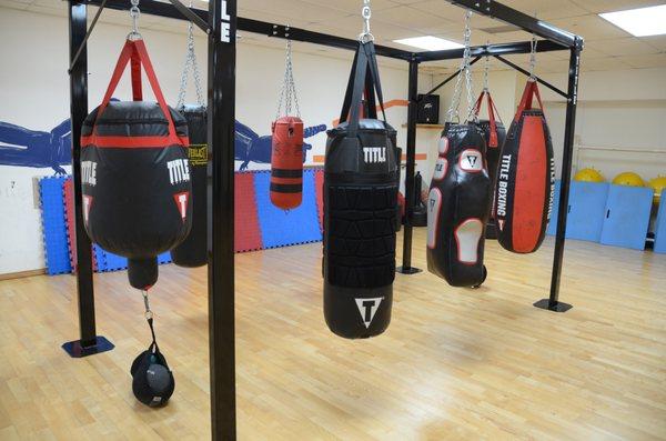 Multiple Styles of Punching Bags!