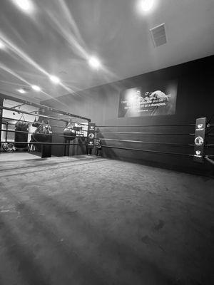 Boxing ring