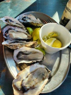 oysters half dozen