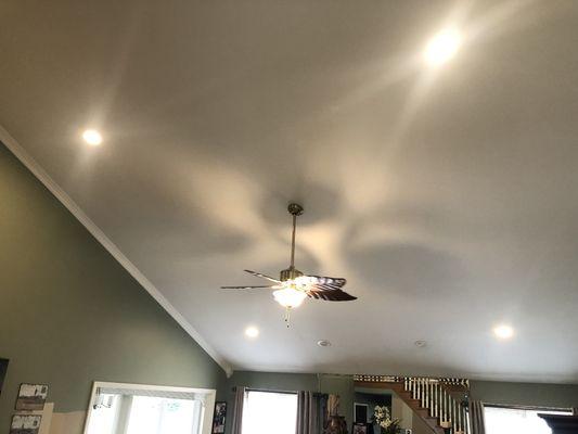 Ceiling fans