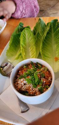 Chicken Thai lettuce wraps, they gave me a refill on lettuce. Pretty good.