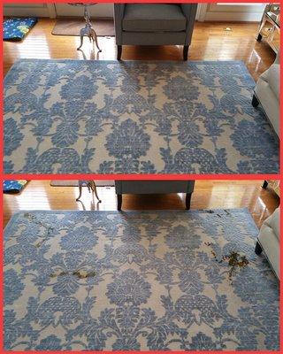 Area rug cleaning