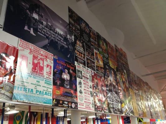 Walls filled with Chicago and Windy City Gym history.