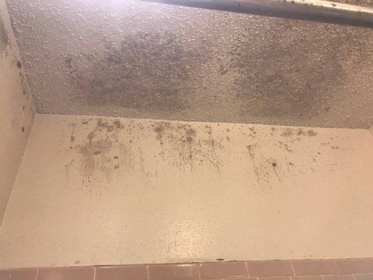 This is mold in the bathroom we told them about