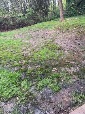 The mud pit of a back yard that the owners don't care take care of