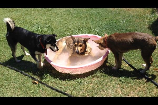 Swim time to beat the heat