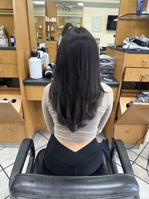 Color Haircut