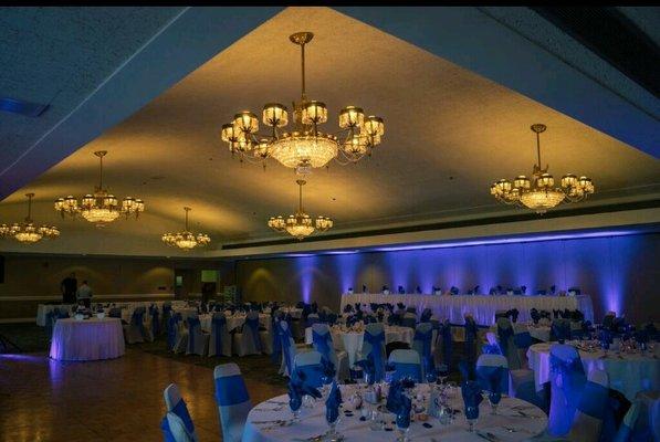 Reception with dramatic uplighting