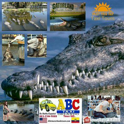 Theme Park and Wildlife Preserve in Florida. Over 2000 Alligators