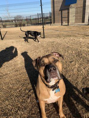 Axel LOVES daycare!