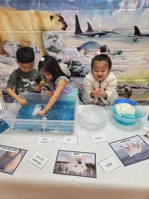 Winter Activity: Arctic Sea Animal Activity