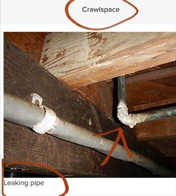 Scheidt Home Inspection