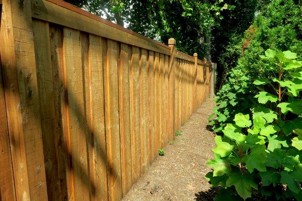 Beautiful Cedar fence. We offer fence and Deck sealing/ stain.