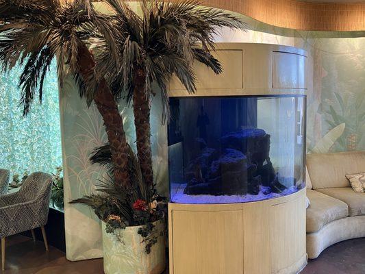 One of two fish tanks in the waiting area