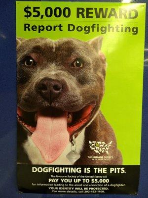 Horrible, horrible, horrible. Report it, not for the reward, but for the health and safety of the animals.