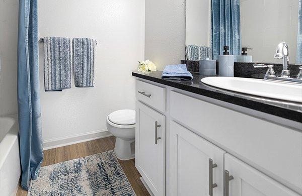 Renovated Bathroom in Select Units