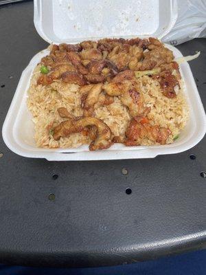 Chicken Teriyaki Combo