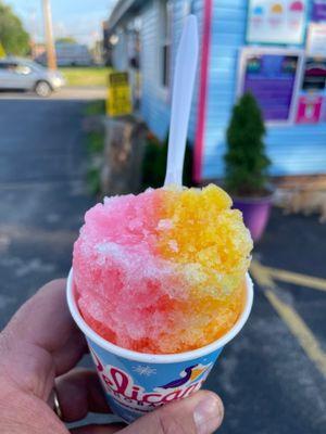 Pelican’s SnoBalls