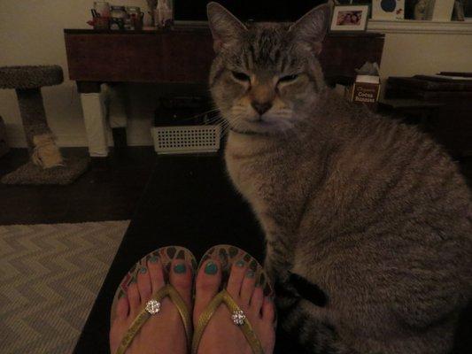 You know someone did a good job when your cat wants to model next to your feet.