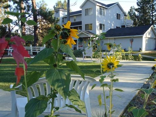 The office is in the Main House behind the motel.