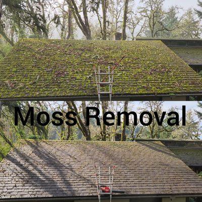 Moss removal from roof.