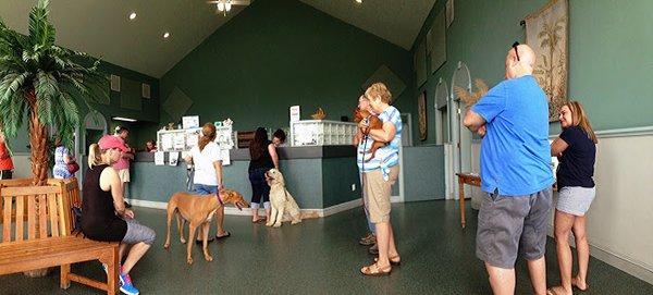 Come and check in with us at Hendricks Veterinary Hospital.