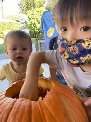 Pumpkin carving